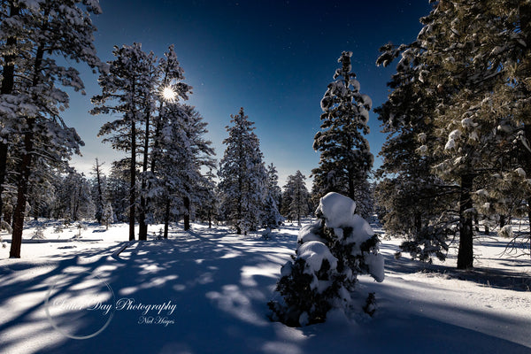 Moonlit Snowy Winterland Bryce Canyon