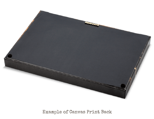 LDS Fine-Art Photography Print on Canvas Back of an LDS Temple.