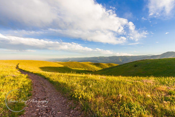 Original fine art photography of a path leading through Green Mountain Colorado!
