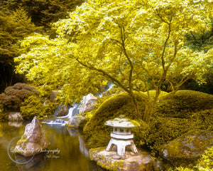 Original fine art photography of the Japanese gardens with waterfalls in the background.