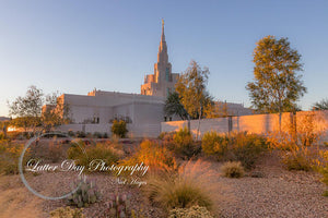 Original fine art photography print of the LDS Phoenix Arizona Temple.